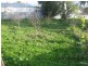 27 First Street, Napperby SA 5540