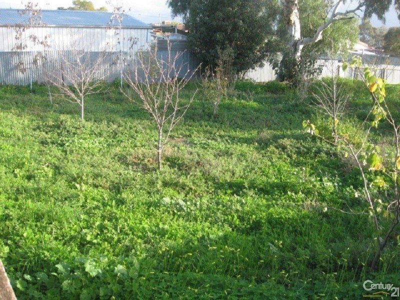 27 First Street, Napperby SA 5540