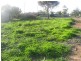 27 First Street, Napperby SA 5540