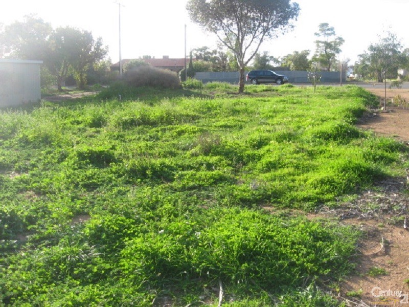 27 First Street, Napperby SA 5540