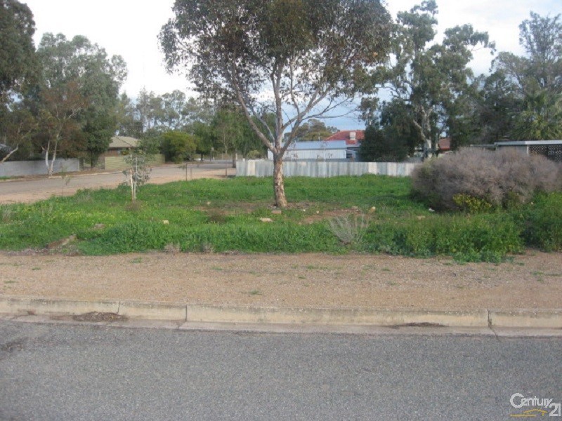 27 First Street, Napperby SA 5540