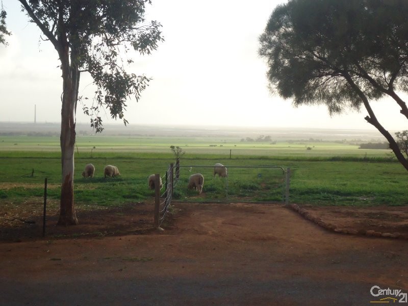 34 Bain Avenue, Napperby SA 5540