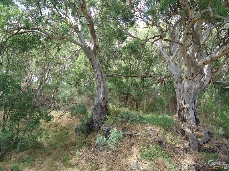 11 Muster Drive, Napperby SA 5540