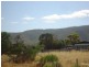 11 Muster Drive, Napperby SA 5540