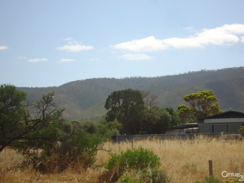 11 Muster Drive, Napperby SA 5540