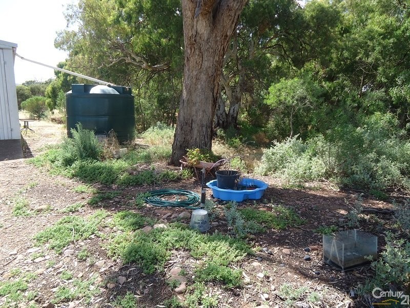 11 Muster Drive, Napperby SA 5540