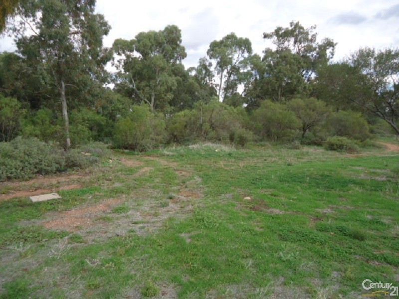 11 Muster Drive, Napperby SA 5540