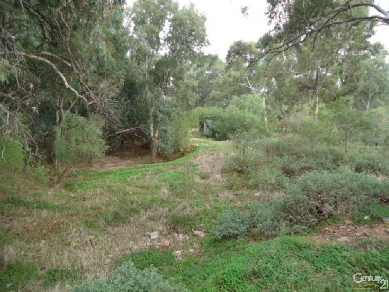 11 Muster Drive, Napperby SA 5540
