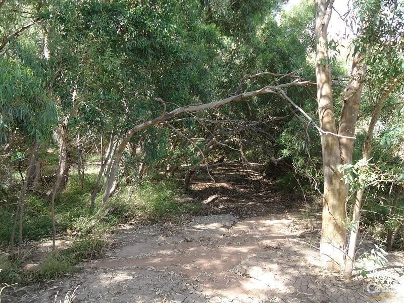 11 Muster Drive, Napperby SA 5540