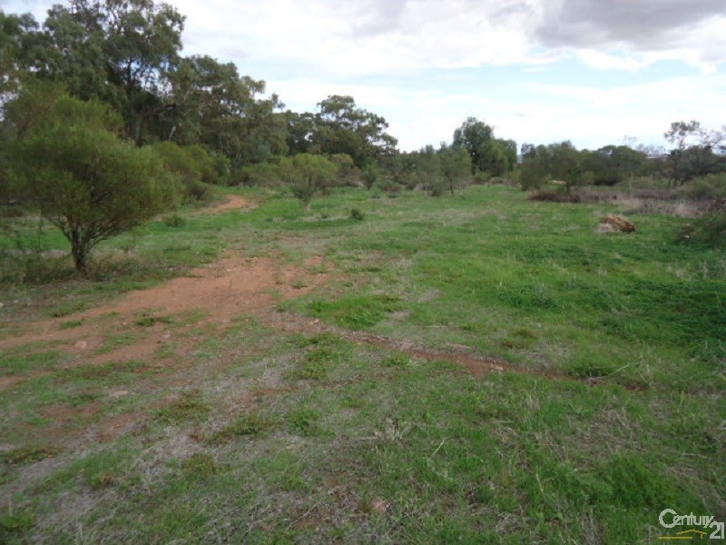 11 Muster Drive, Napperby SA 5540