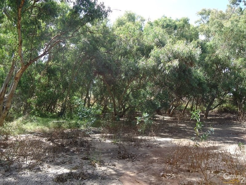 11 Muster Drive, Napperby SA 5540