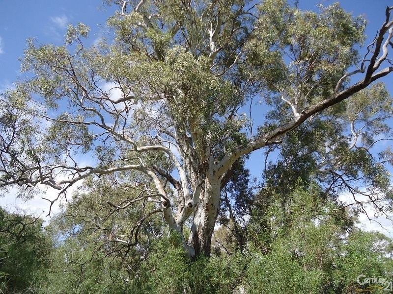 11 Muster Drive, Napperby SA 5540