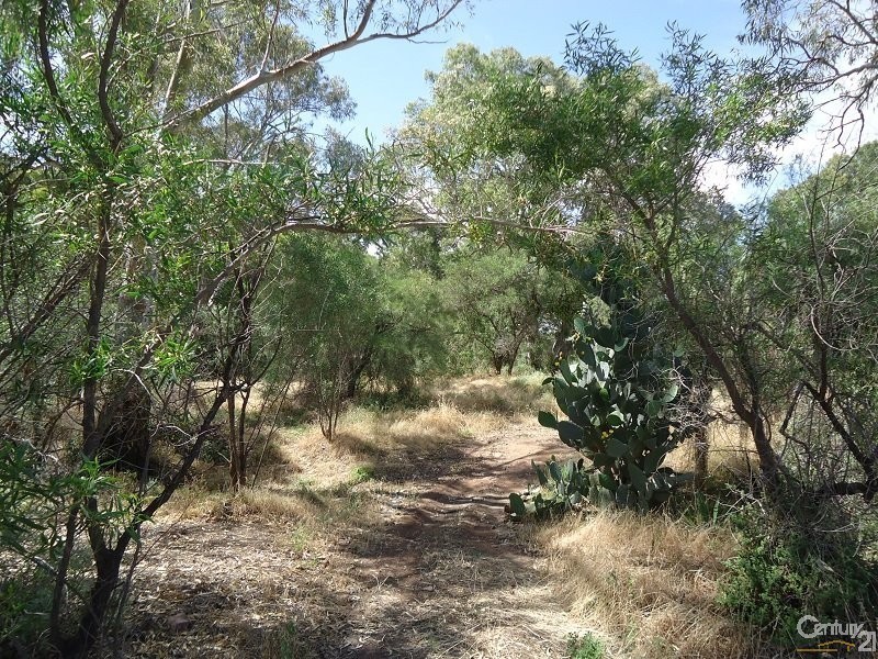 11 Muster Drive, Napperby SA 5540