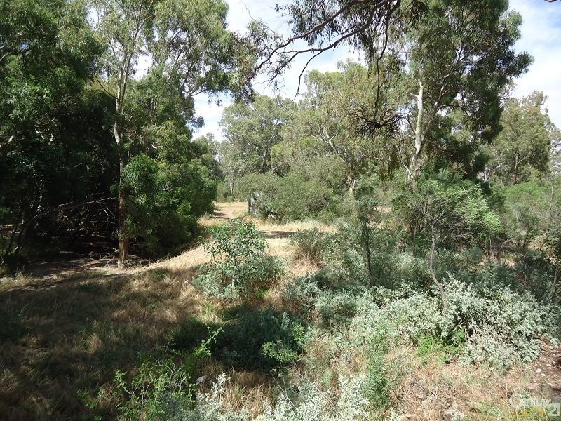 11 Muster Drive, Napperby SA 5540