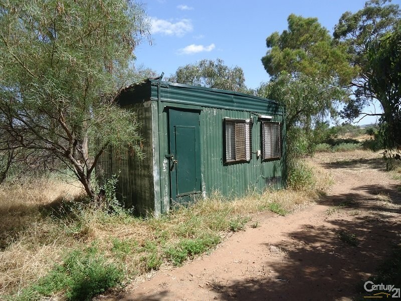 11 Muster Drive, Napperby SA 5540