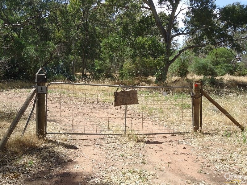 11 Muster Drive, Napperby SA 5540