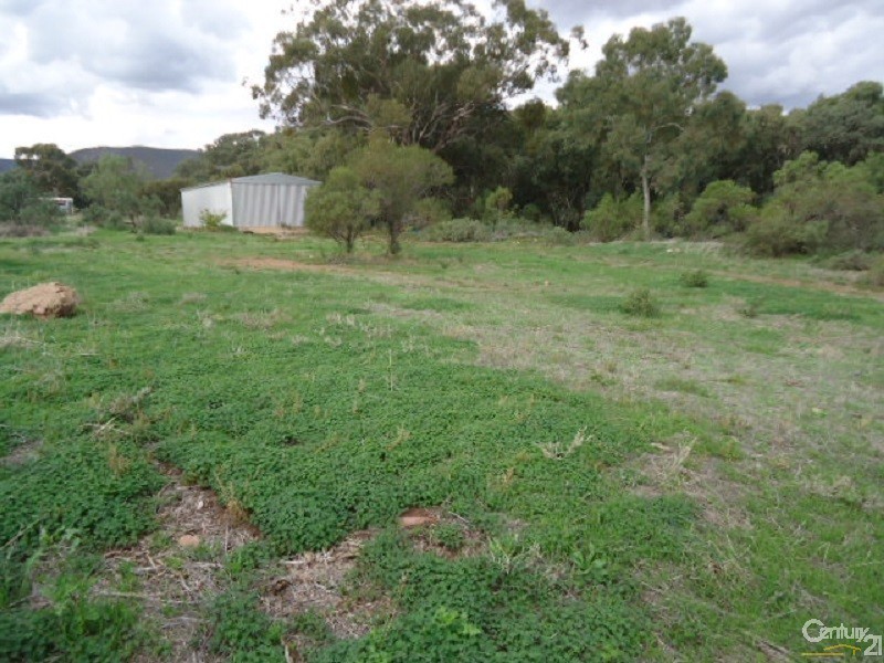 11 Muster Drive, Napperby SA 5540