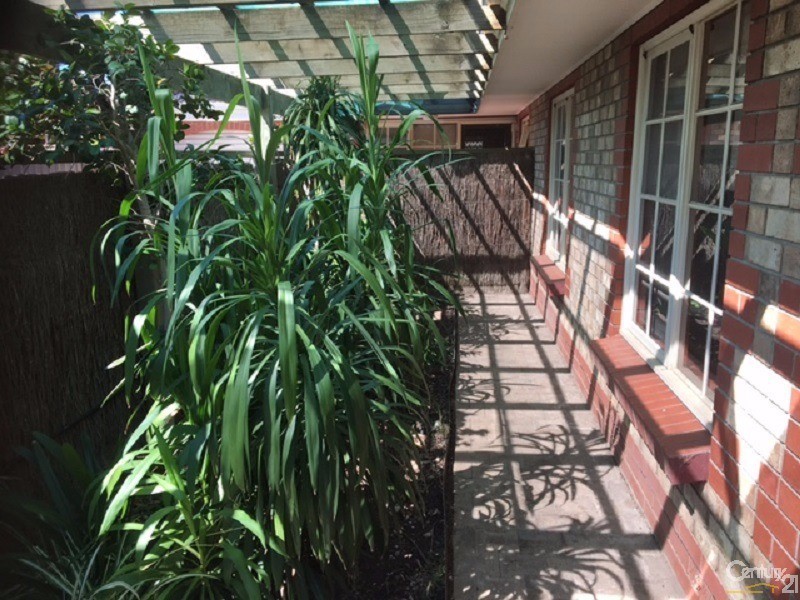 2/7 Pistolier Street, Plympton SA 5038