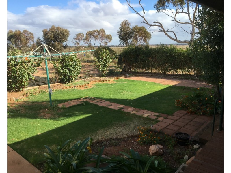 288 Locks Road, Warnertown SA 5540