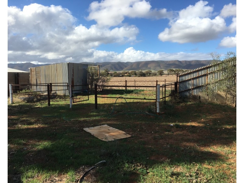 288 Locks Road, Warnertown SA 5540