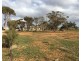 288 Locks Road, Warnertown SA 5540