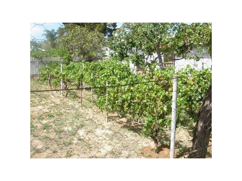 13 Loveday Street WHYALLA NORRIE, Whyalla SA 5600