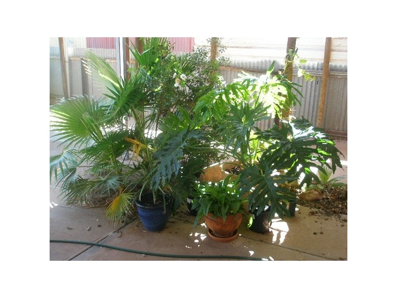 4 Rigney Street, Whyalla SA 5600