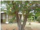 262 Gill Street, Iron Knob SA 5601