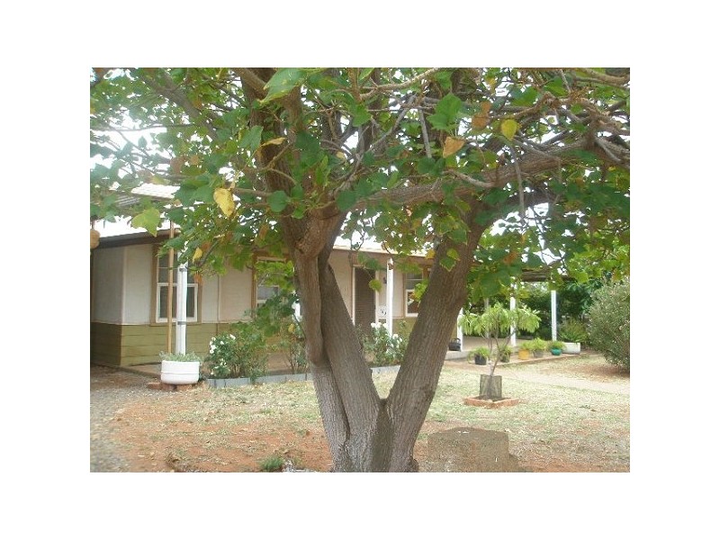 262 Gill Street, Iron Knob SA 5601