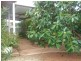 262 Gill Street, Iron Knob SA 5601