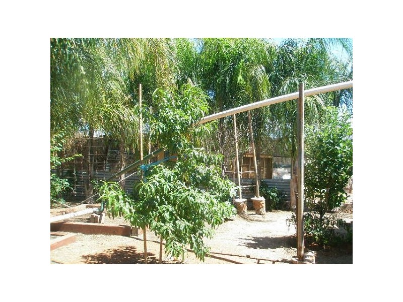 12 Lewis Tc, Iron Knob SA 5601