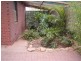 299 McBryde Tce, Whyalla Playford SA 5600