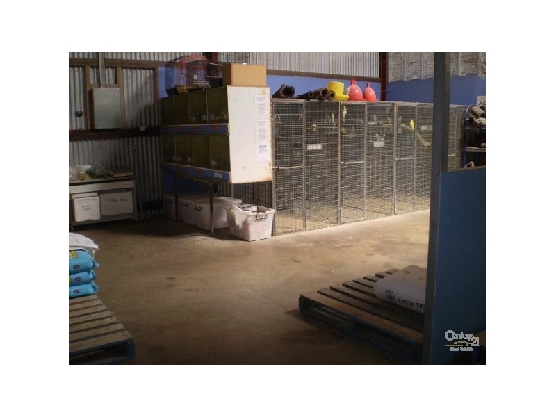374 Mullaquana Road, Whyalla SA 5600