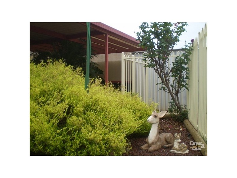 18 Menard Street, Whyalla SA 5600