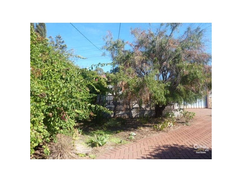 53 Cudmore Tce, Whyalla SA 5600