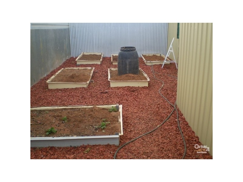 53 Heurich Terrace, Whyalla SA 5600