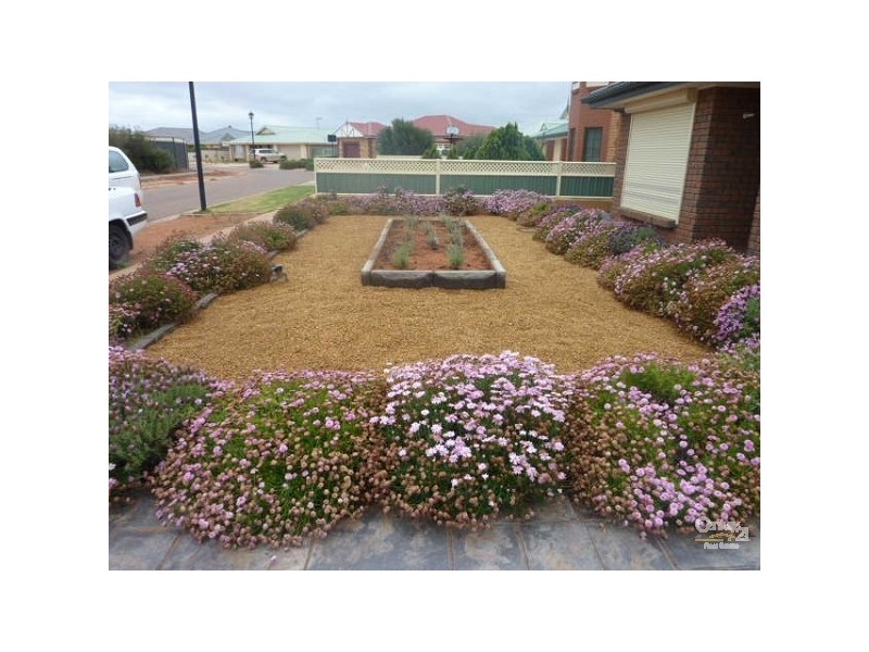 8 Homestead Court, Whyalla SA 5600