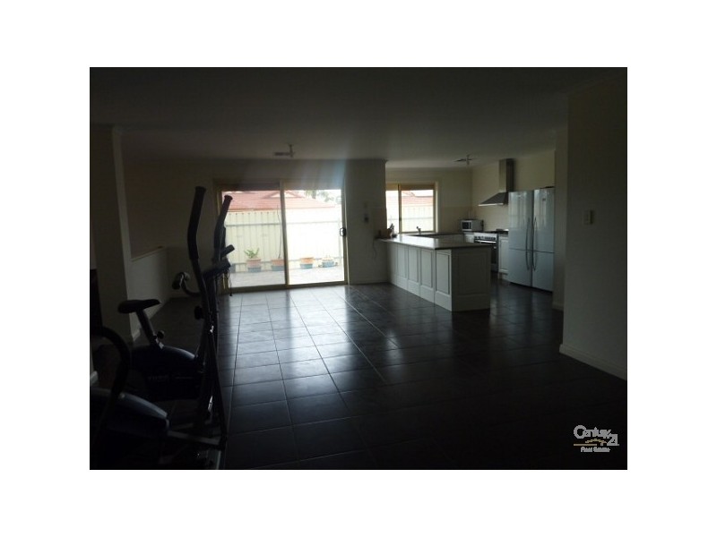 8 Homestead Court, Whyalla SA 5600