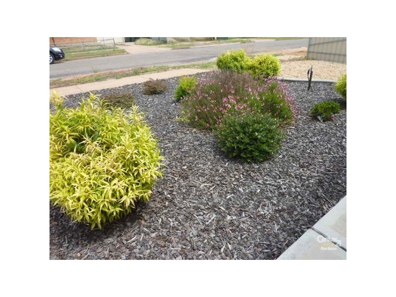 40 Haynes Street, Whyalla SA 5600