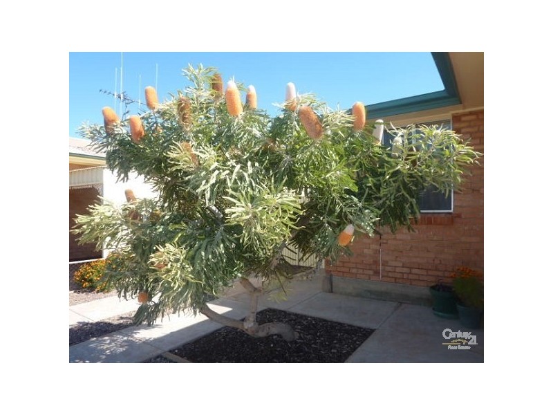 15 Bowden Street, Whyalla SA 5600