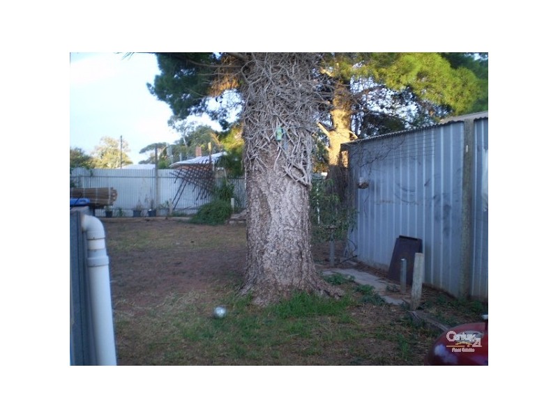 44 George Avenue, Whyalla SA 5600