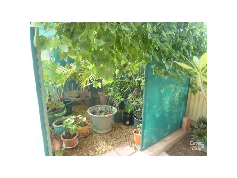 62 Billing Street, Whyalla SA 5600