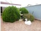 85 Russell Street, Whyalla SA 5600