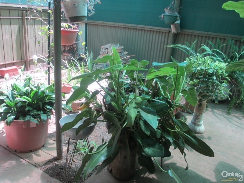 34 Fisk Street, Whyalla Norrie SA 5608