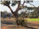 25 Murn Crescent, Whyalla Norrie SA 5608
