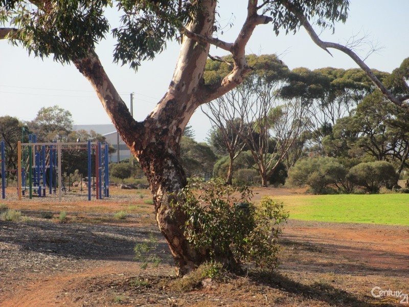 25 Murn Crescent, Whyalla Norrie SA 5608