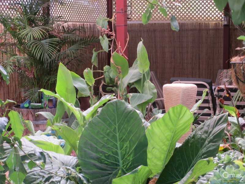 9 Hanneman Drive, Whyalla Jenkins SA 5609