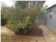 20 MCRITCHIE CRS, Whyalla Stuart SA 5608