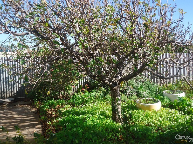 162 Cartledge Ave, Whyalla Stuart SA 5608