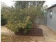 20 McRitchie Cres, Whyalla Stuart SA 5608